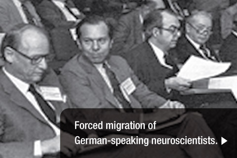 The Forced Migration of German-Speaking Neuroscientists