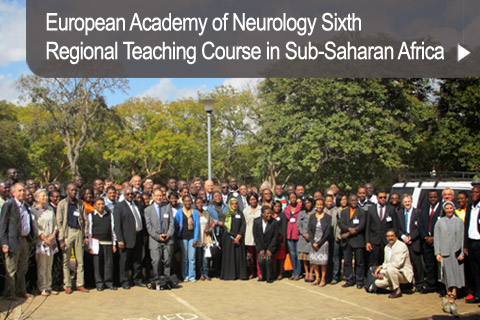 European Academy of Neurology Sixth Regional Teaching Course in Sub-Saharan Africa