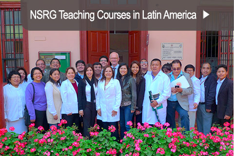 NSRG Teaching Courses in Latin America