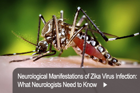 Neurological Manifestations of Zika Virus Infection: What Neurologists Need to Know